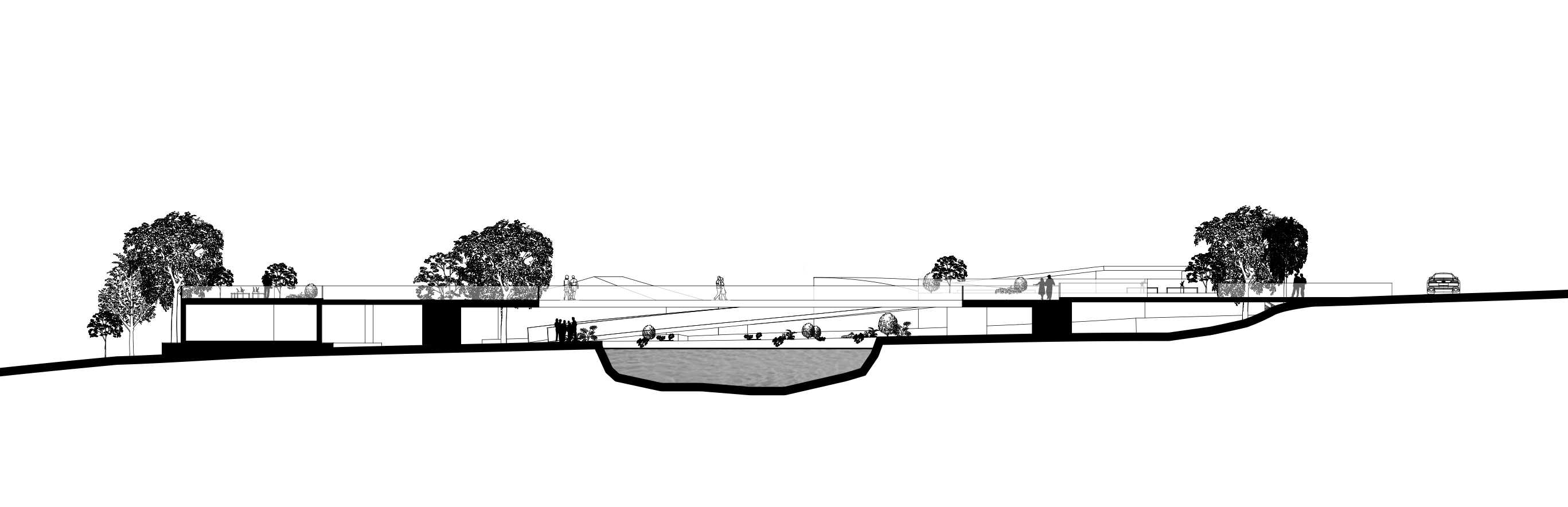 proposed site section