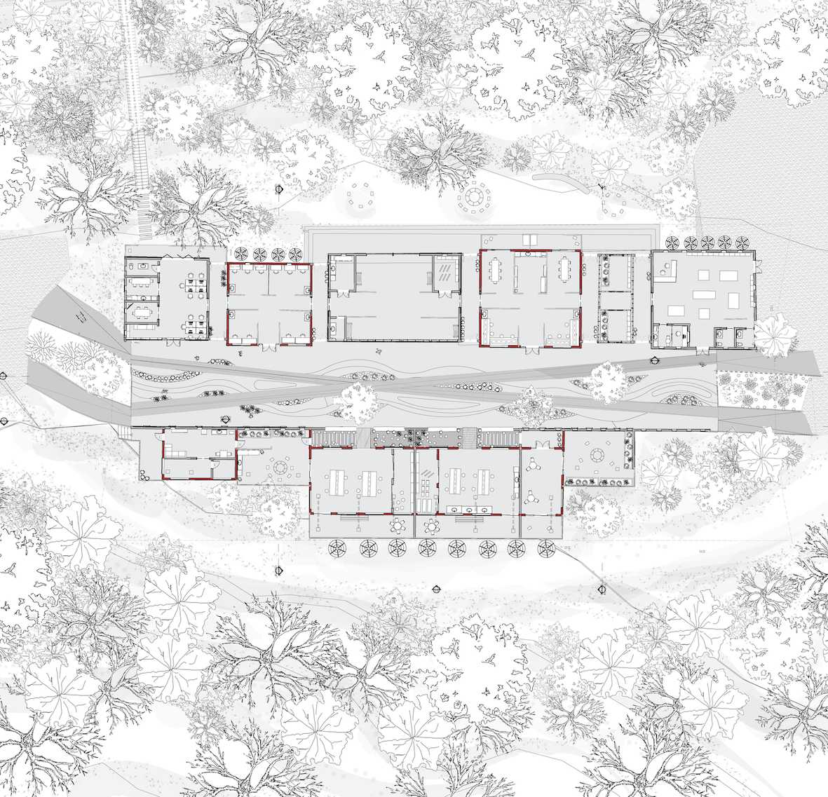 Floor plan showing new and existing buildings linked by lightweight glass hallways, reinforcing public–private separation while framing views toward the central promenade and surrounding bushland