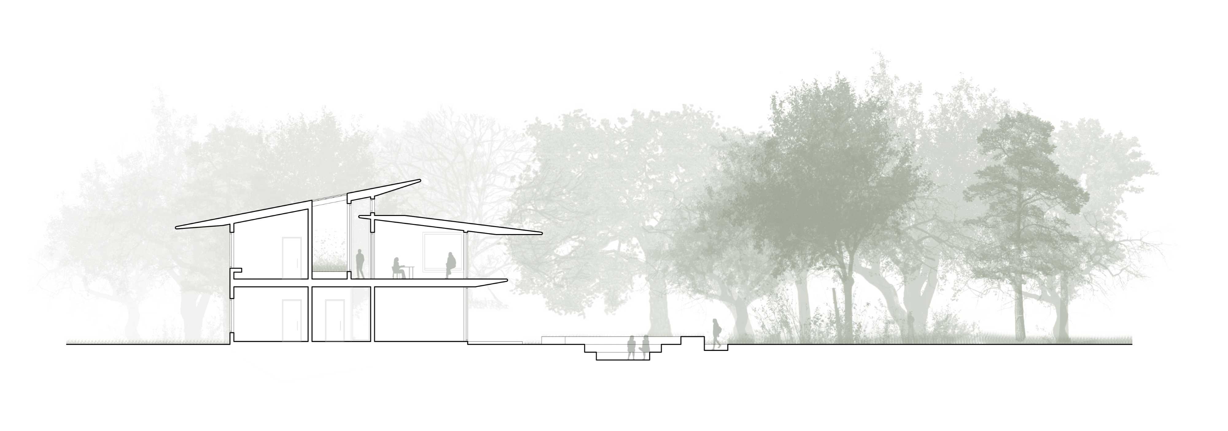Section - interiors submerge into the canopy