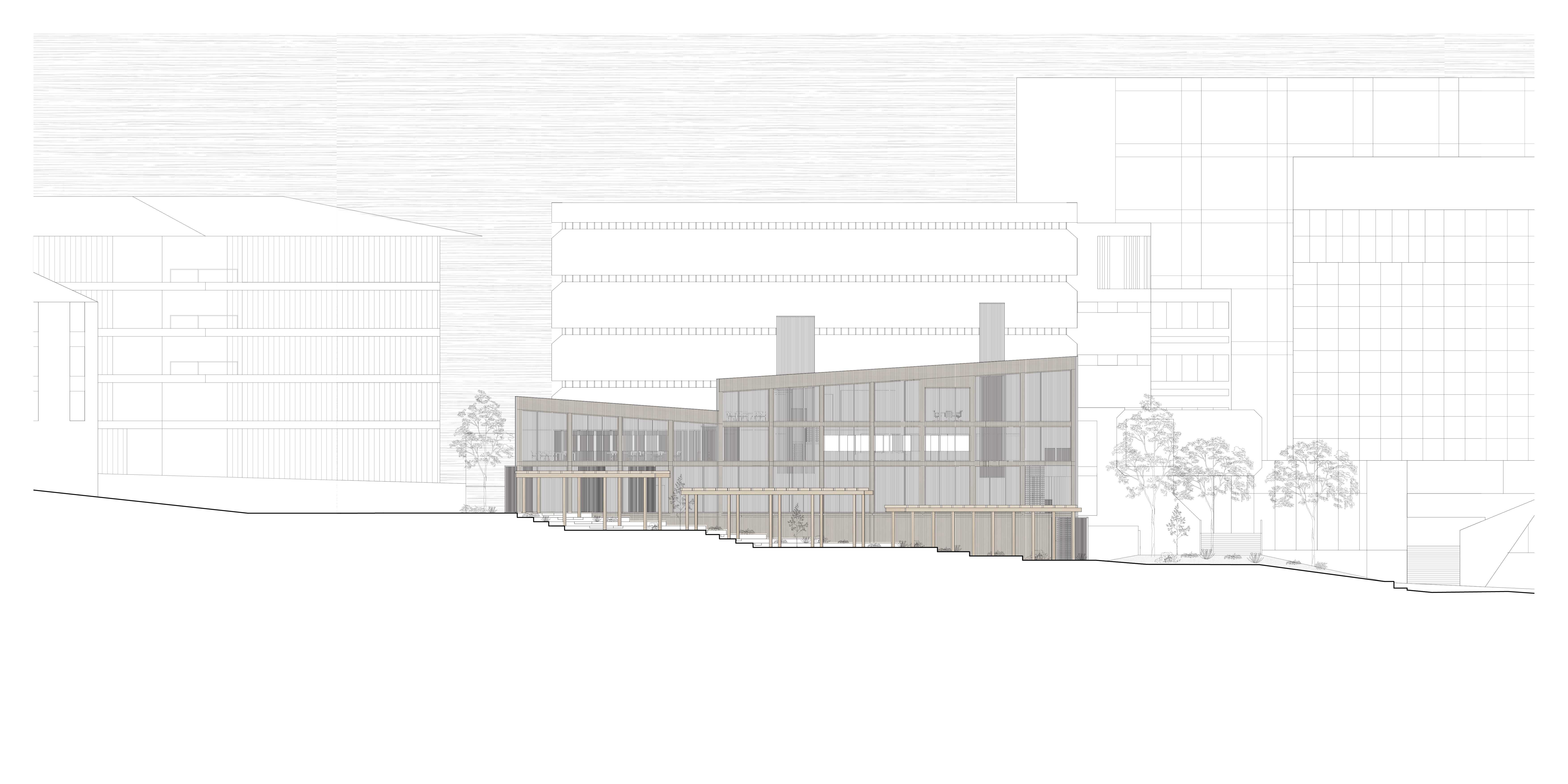 Following the site’s natural slope, timber volumes and darkened screens layer horizontally across the landscape, creating a softened elevation that bridges the ground’s descent and the surrounding rigid campus edges.