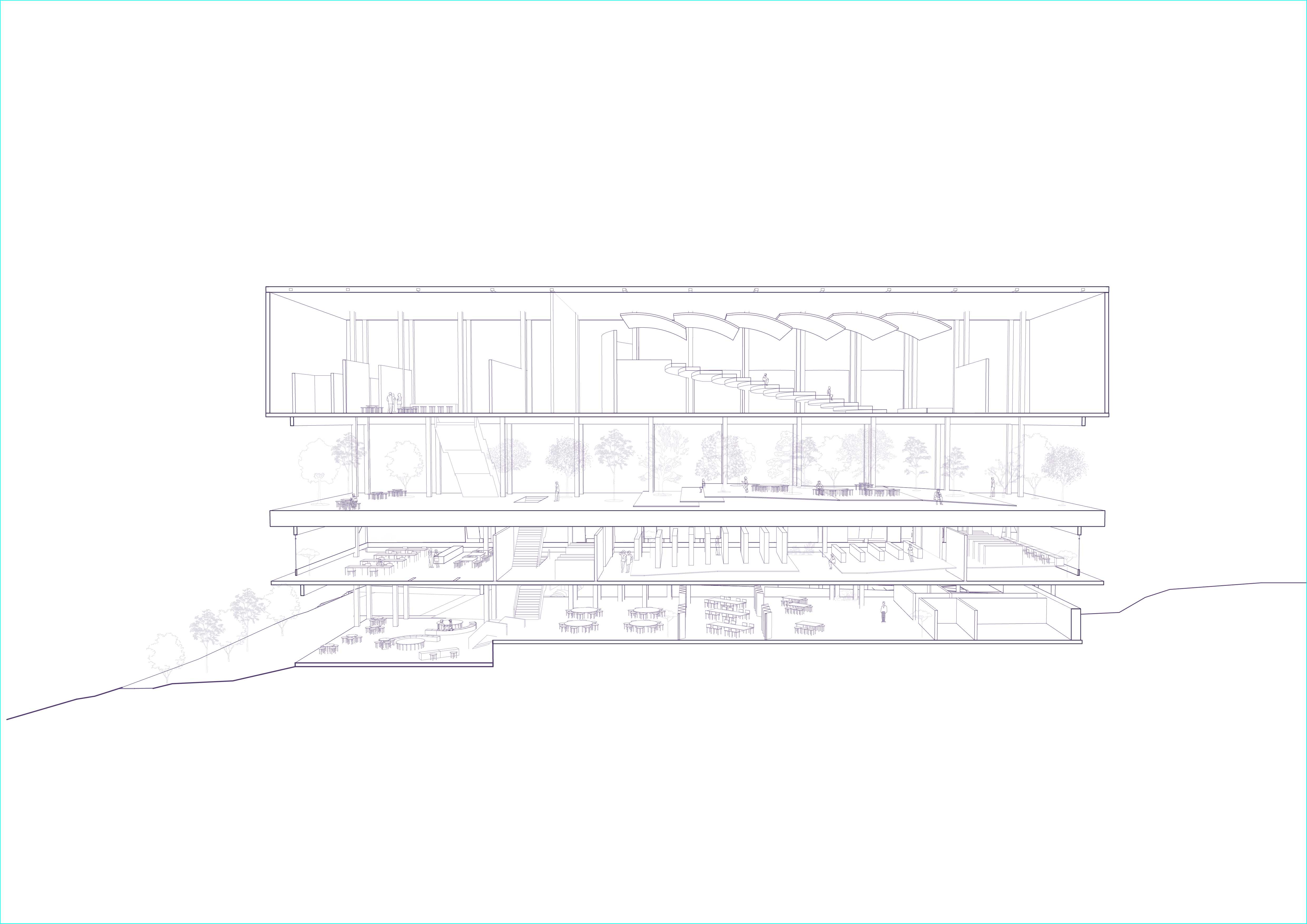 Sectional Perspective Drawing