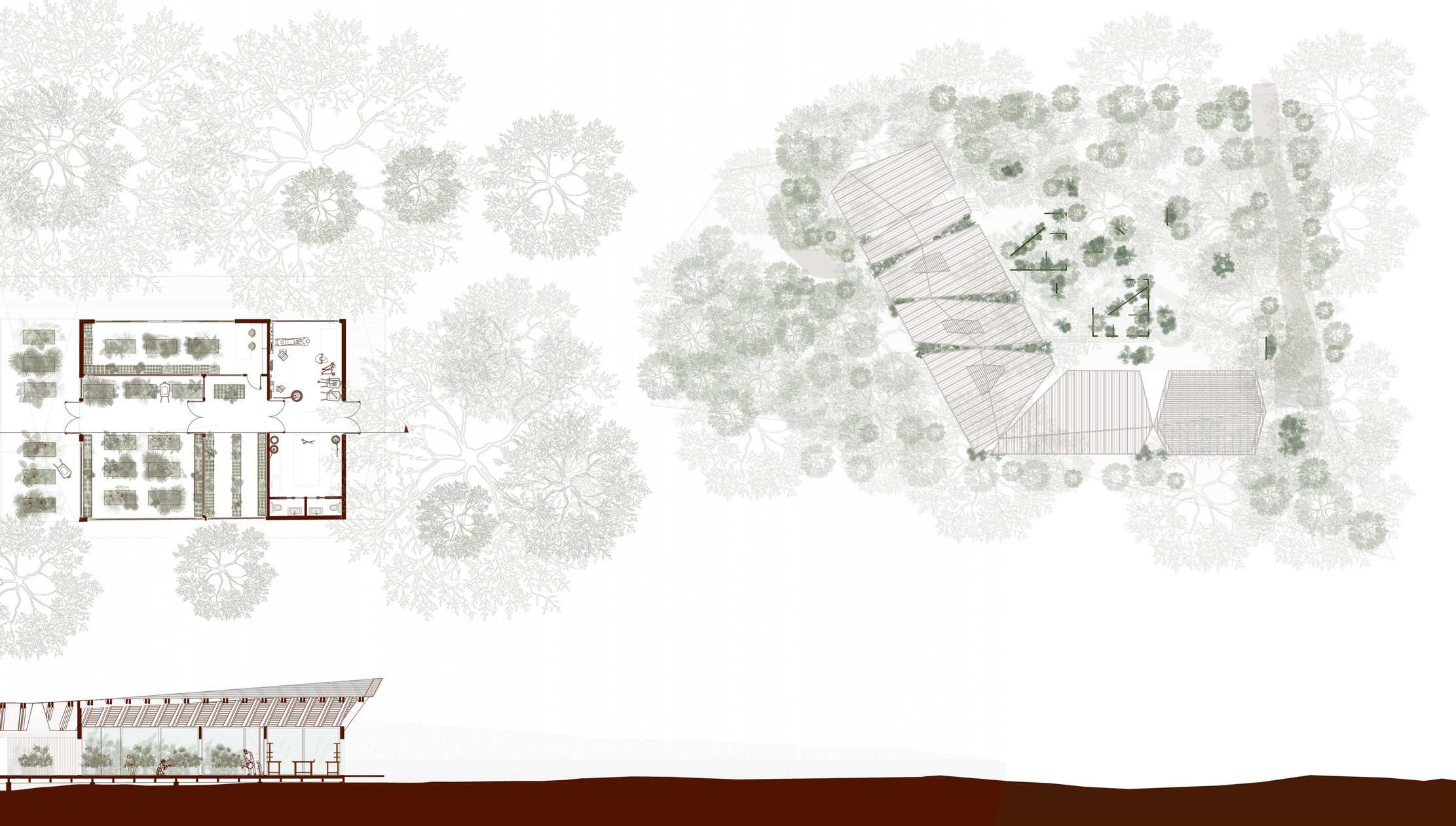 The landscape threads native plants through garden, nursery, and building alike — a living tapestry where foliage and habitat spill across thresholds, inviting community into a gentle, continuous dialogue.