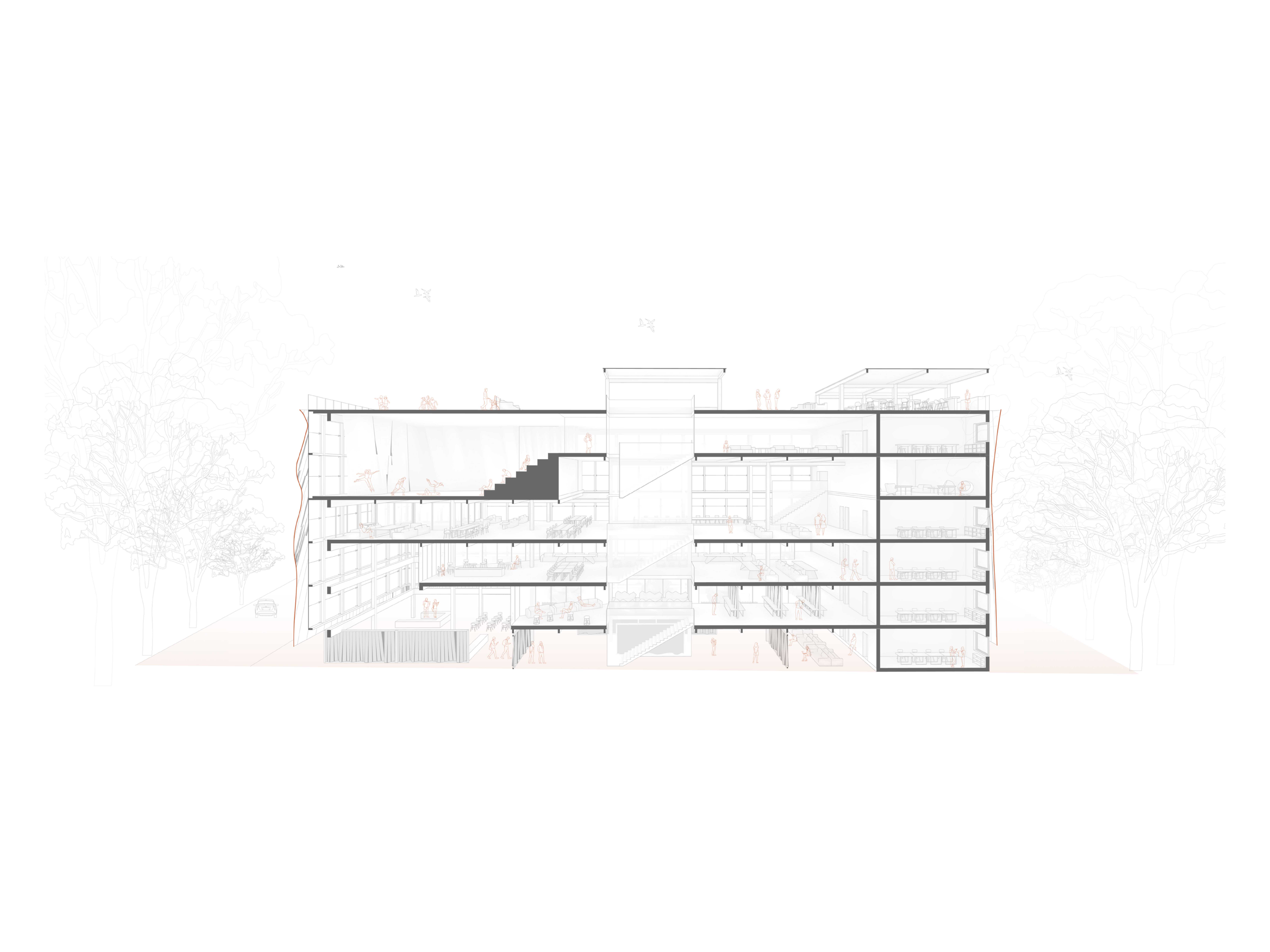 1:100 Sectional Perspective
