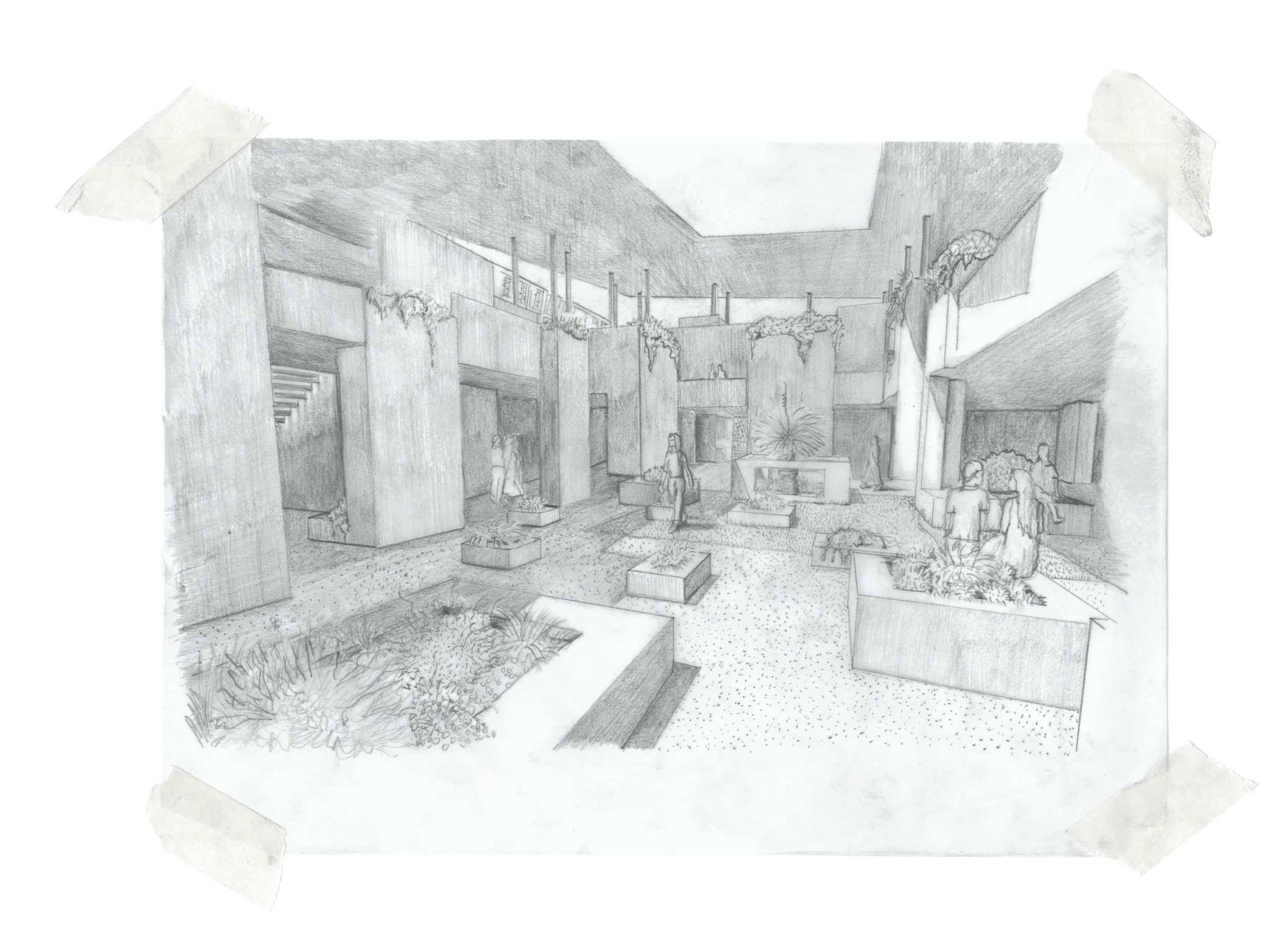 Exterior Sketch - Courtyard and Indigenous Garden
