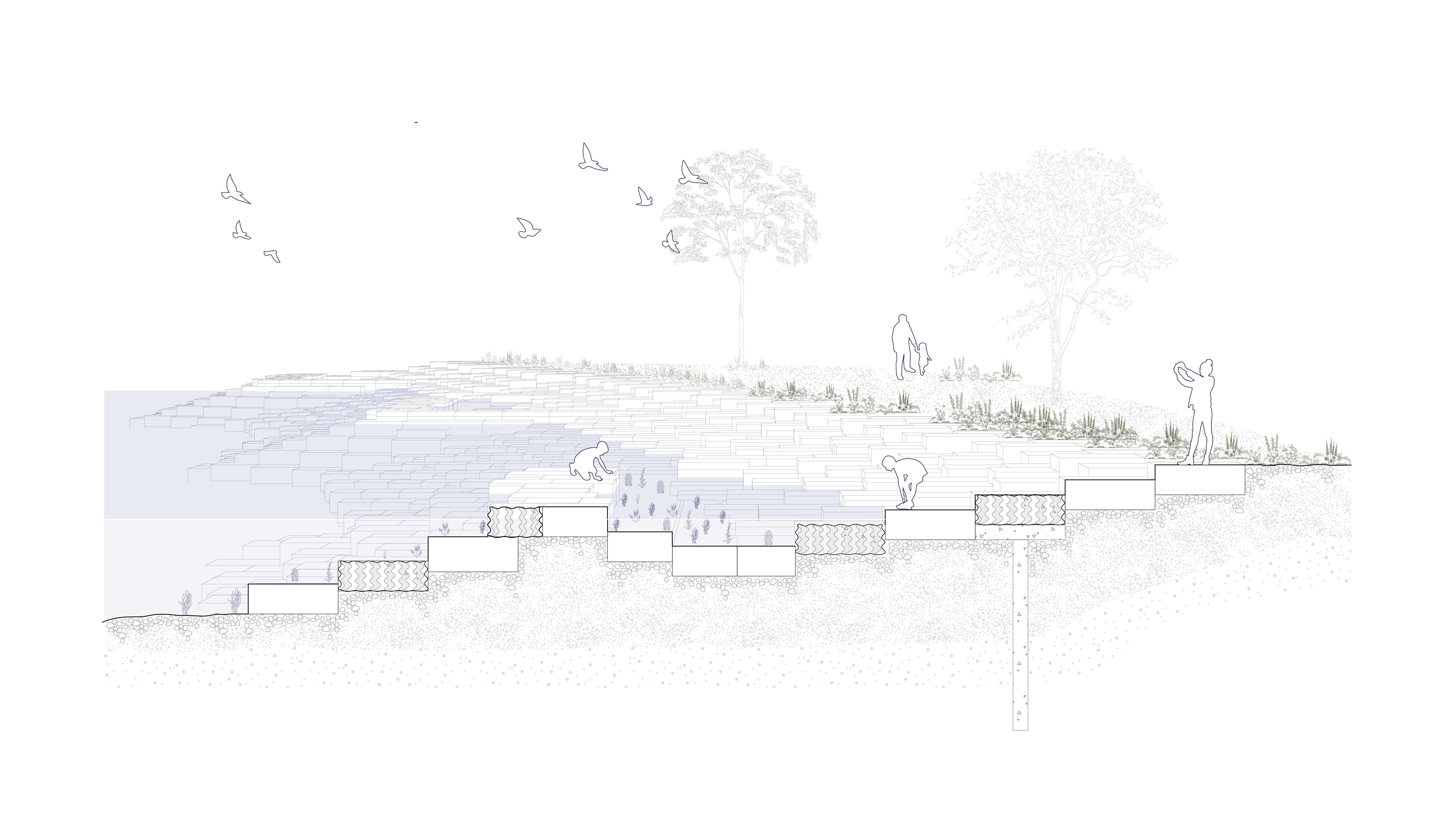 Section drawing of foreshore rock pool and stepped intertidal edge