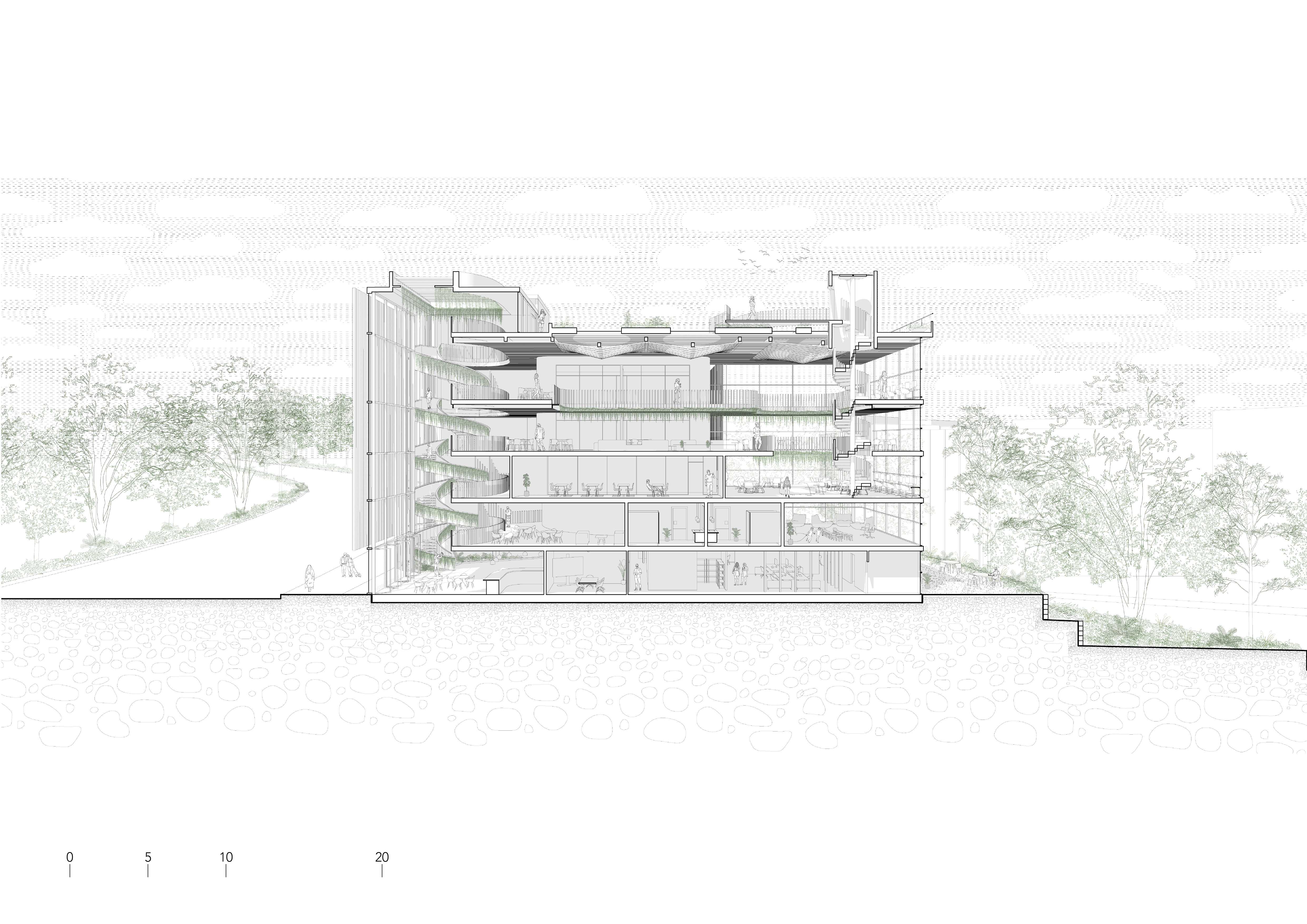 Sectional Perspective
