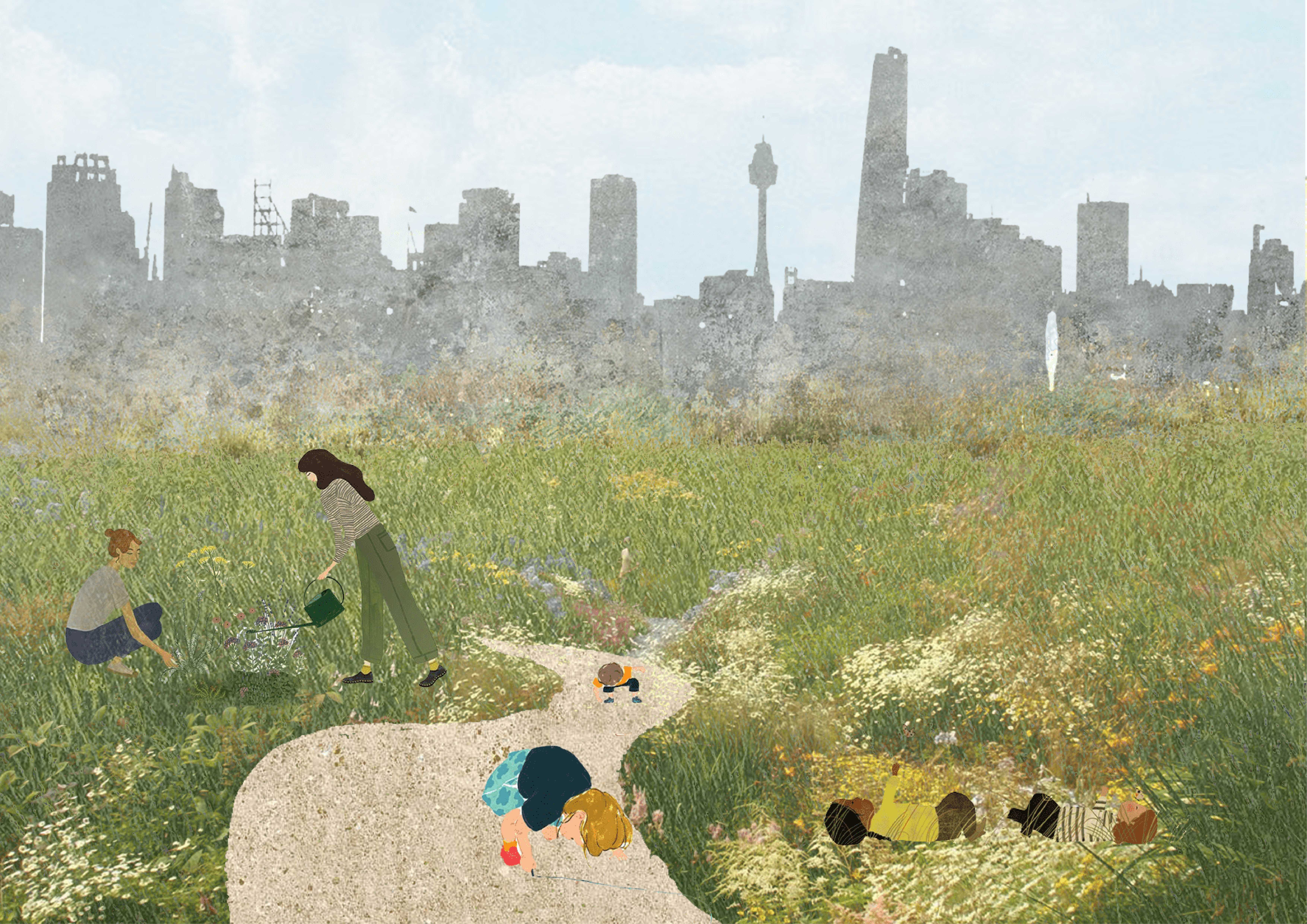 Abstract Collage - Wildflower Rooftop Garden