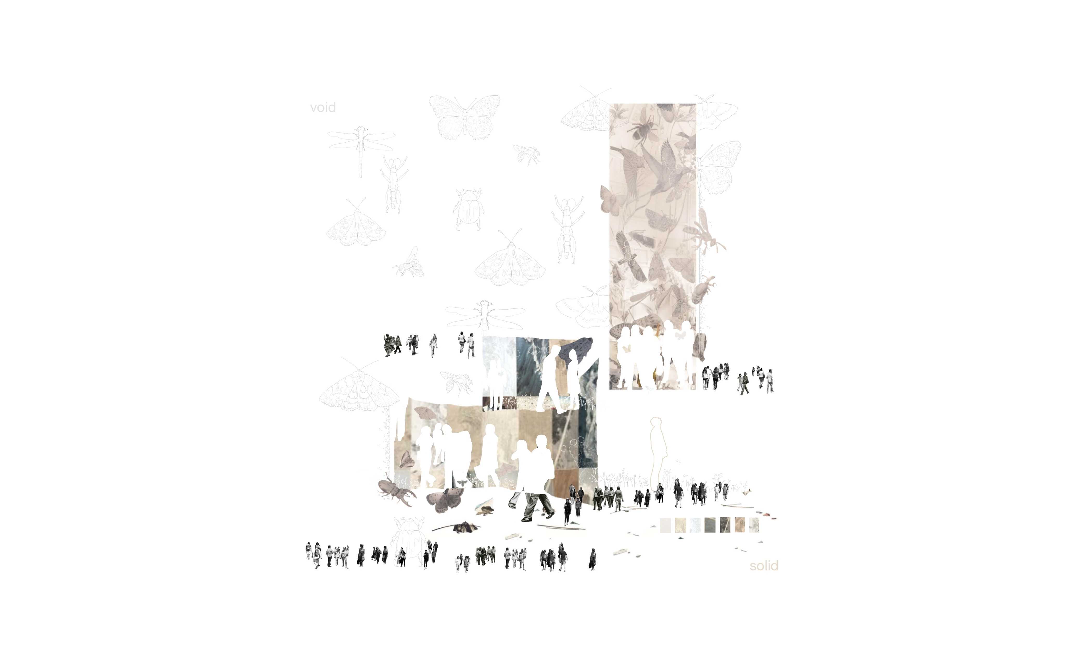Conceptual Collage - we too are like insects, moving quietly within the voids of our built environment, a co-existence.