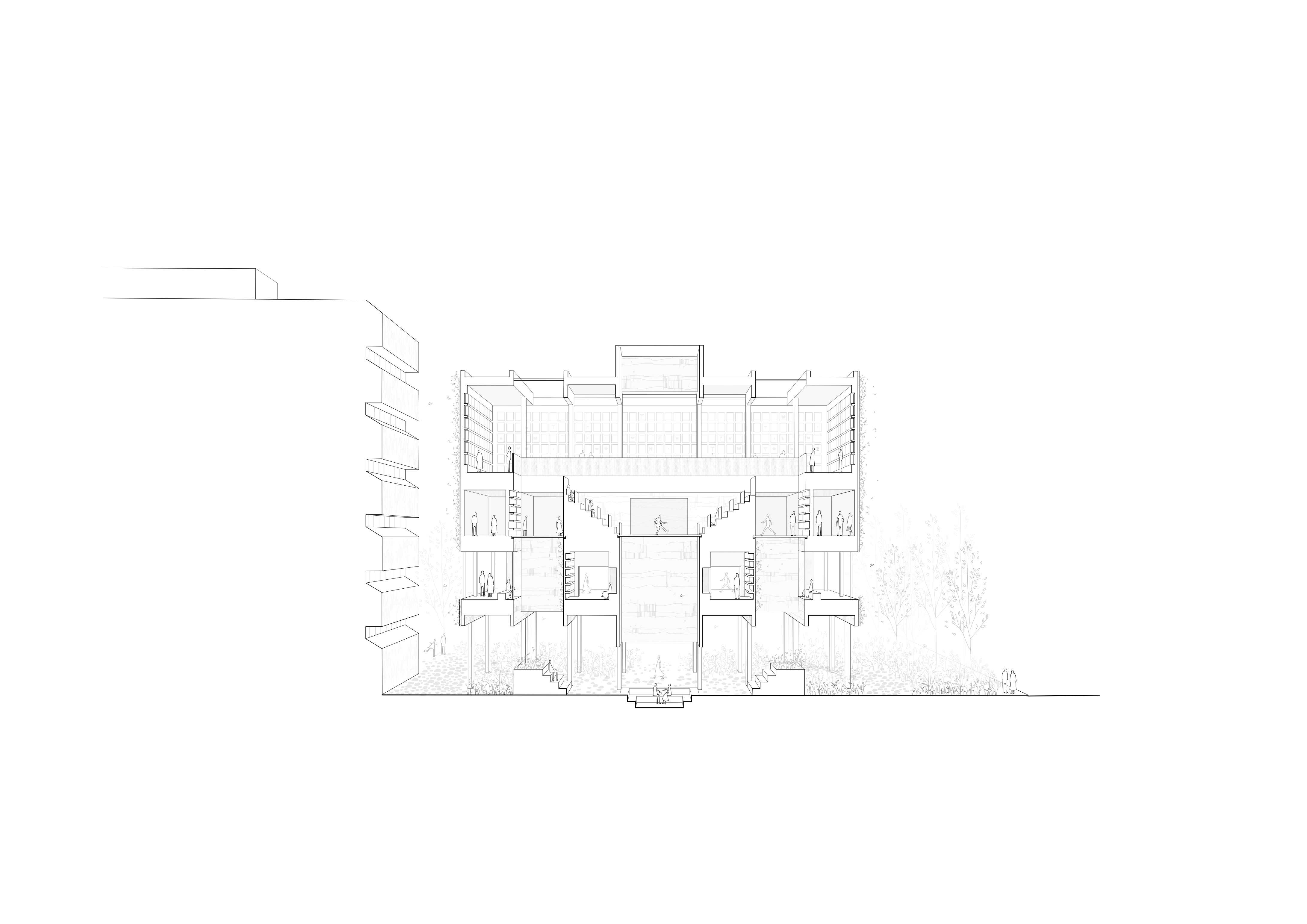 Sectional Perspective - a symbiosis of inhabitance between people and organisms; insects, microbes, moss, plants, animals.