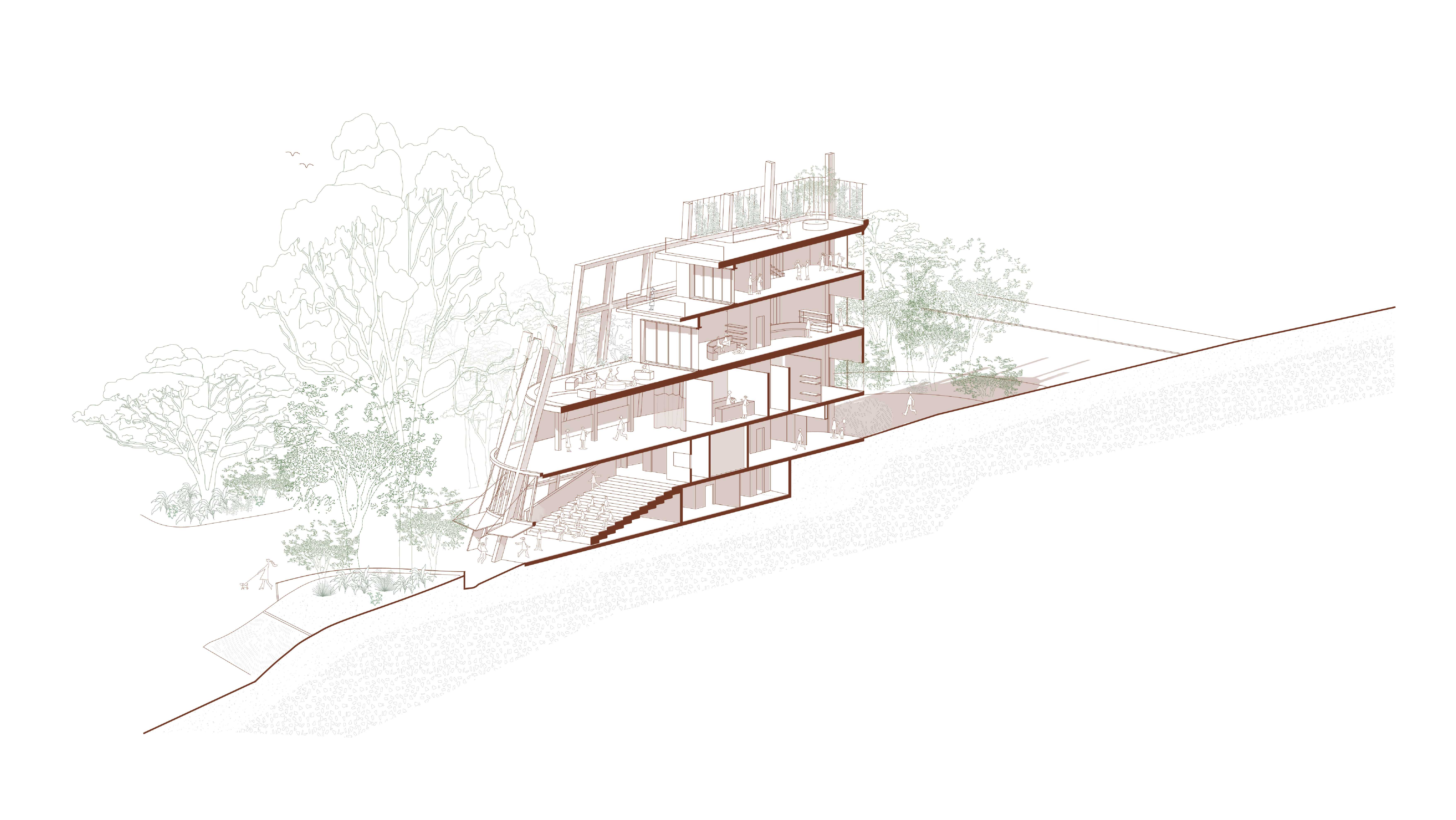 Isometric Longitudinal Section of Cultural Hub - tracing spatial experience and connection to landscape, exploring verticality to evoke the presence of the Turpentine-Ironbark Forest.