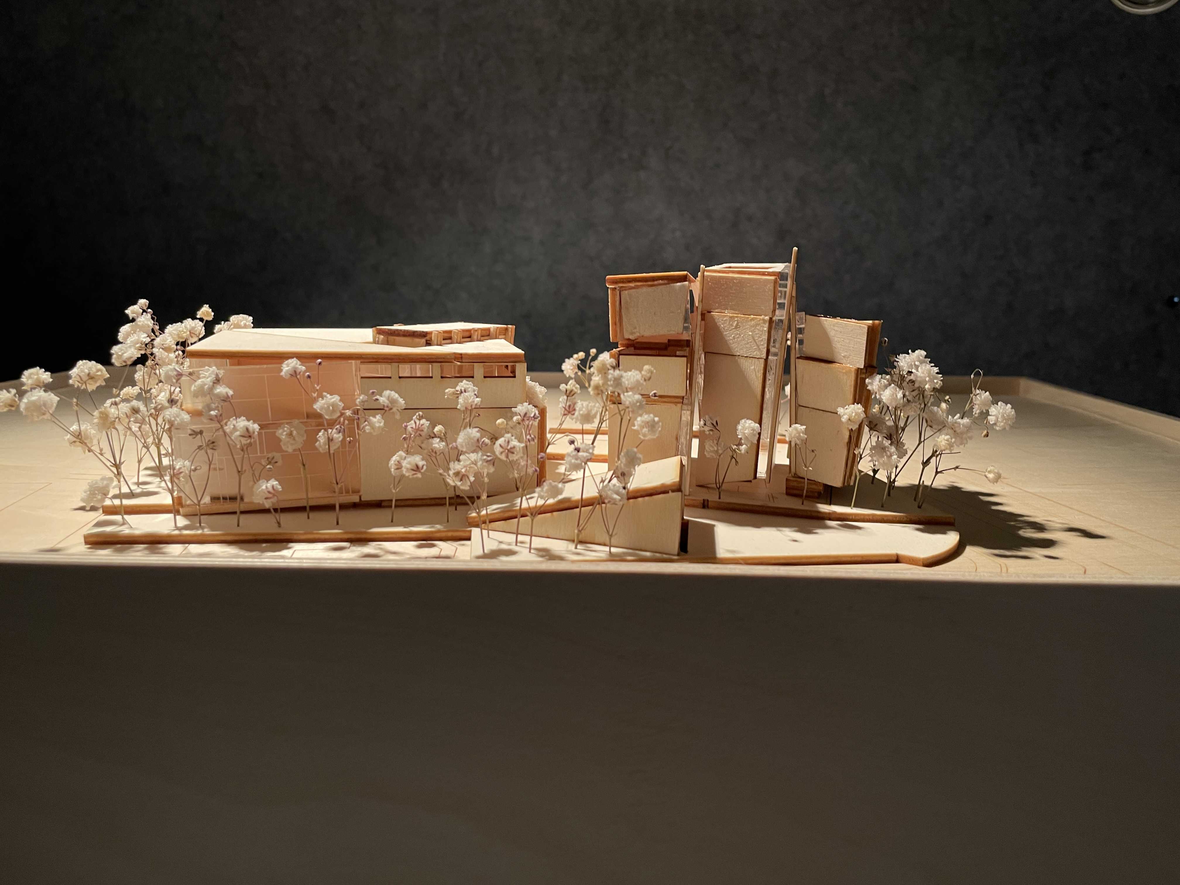 Model